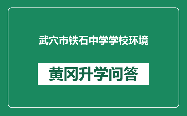 武穴市铁石中学学校环境