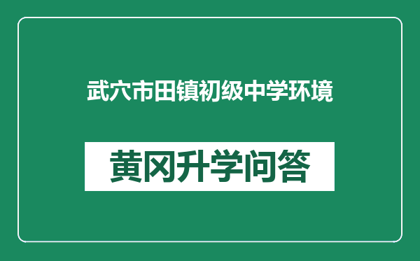 武穴市田镇初级中学环境