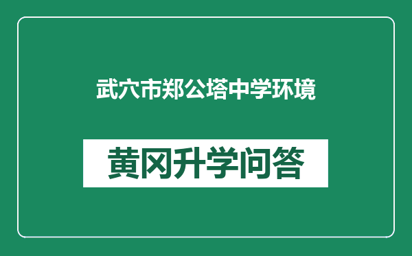 武穴市郑公塔中学环境