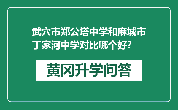 武穴市郑公塔中学和麻城市丁家河中学对比哪个好？