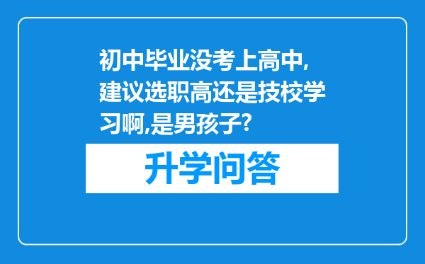 初中毕业没考上高中,建议选职高还是技校学习啊,是男孩子?