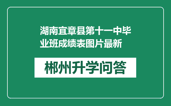 湖南宜章县第十一中毕业班成绩表图片最新