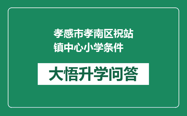 孝感市孝南区祝站镇中心小学条件