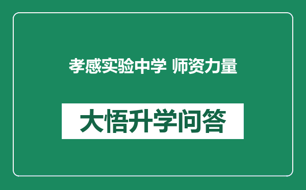 孝感实验中学 师资力量