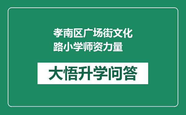 孝南区广场街文化路小学师资力量