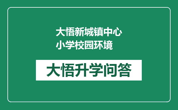 大悟新城镇中心小学校园环境