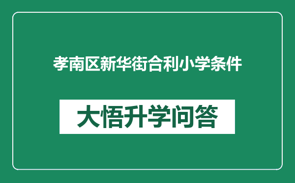 孝南区新华街合利小学条件