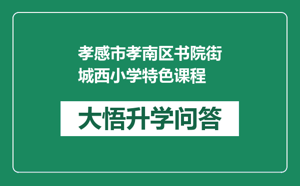 孝感市孝南区书院街城西小学特色课程