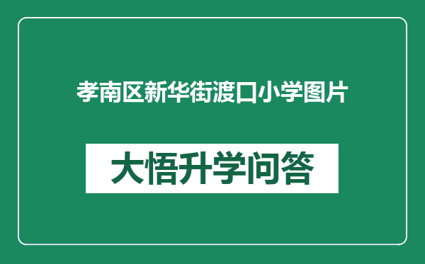 孝南区新华街渡口小学图片
