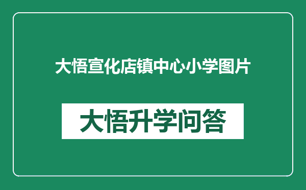 大悟宣化店镇中心小学图片
