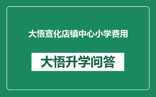 大悟宣化店镇中心小学费用