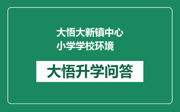 大悟大新镇中心小学学校环境