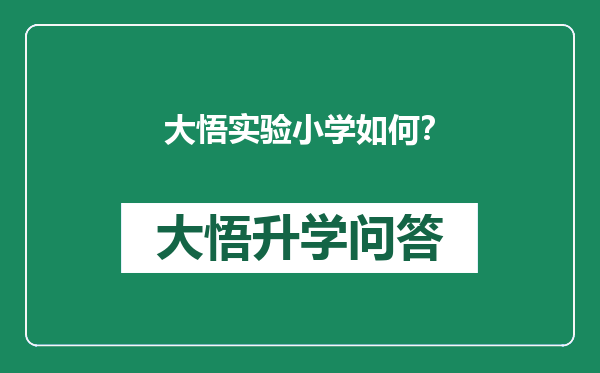 大悟实验小学如何？