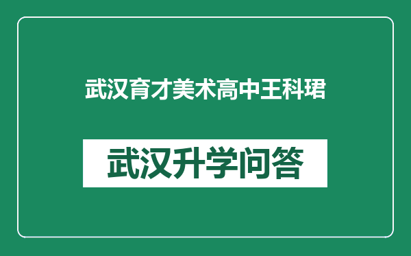 武汉育才美术高中王科珺
