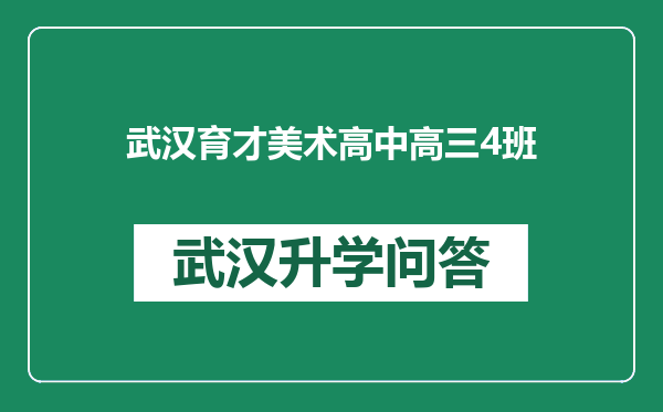 武汉育才美术高中高三4班