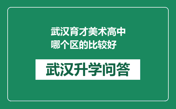 武汉育才美术高中哪个区的比较好