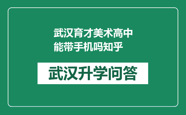 武汉育才美术高中能带手机吗知乎