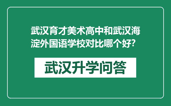 武汉育才美术高中和武汉海淀外国语学校对比哪个好？