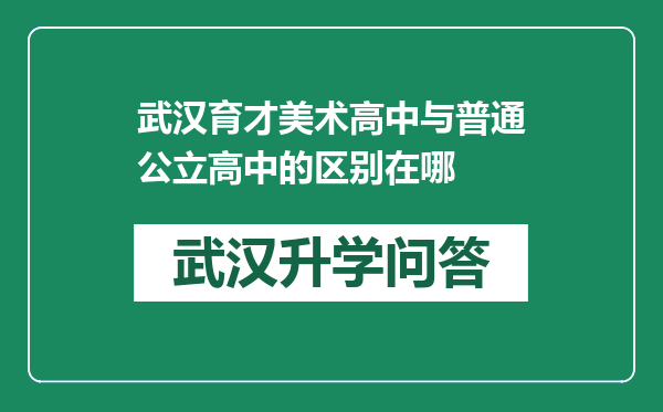 武汉育才美术高中与普通公立高中的区别在哪
