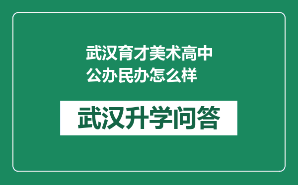 武汉育才美术高中公办民办怎么样