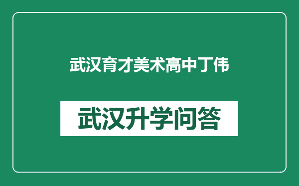 武汉育才美术高中丁伟