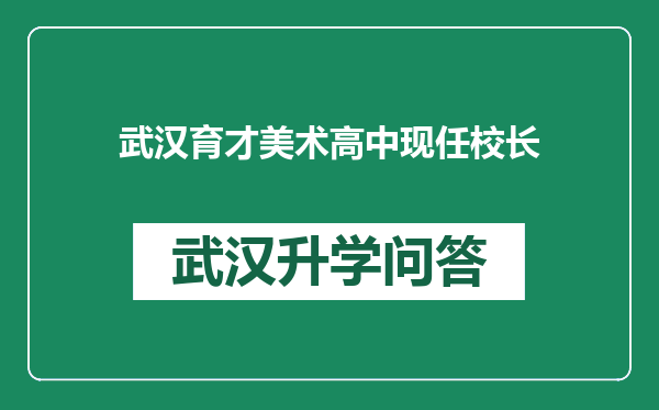 武汉育才美术高中现任校长