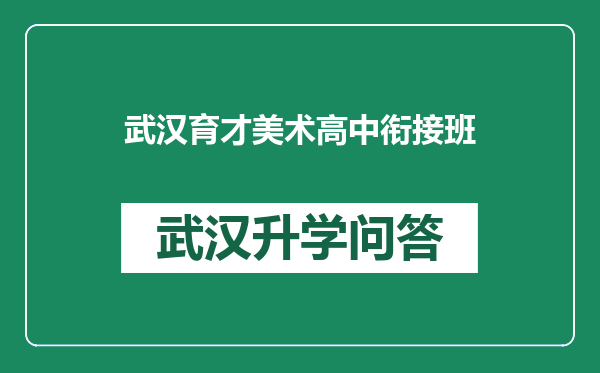 武汉育才美术高中衔接班