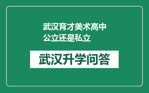 武汉育才美术高中公立还是私立