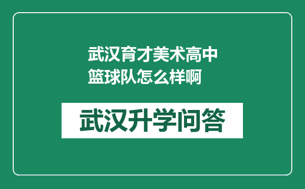 武汉育才美术高中篮球队怎么样啊