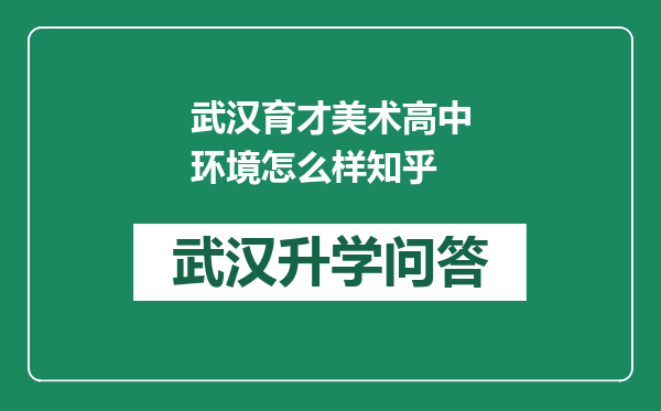 武汉育才美术高中环境怎么样知乎