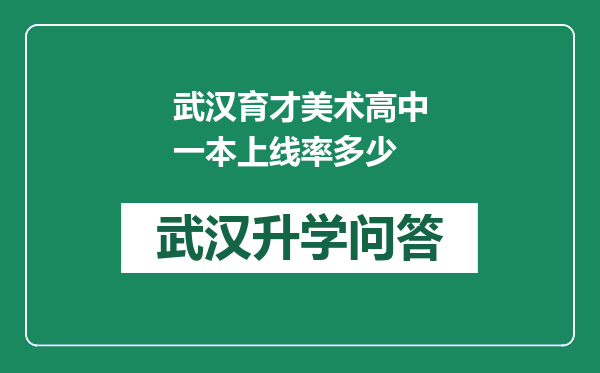 武汉育才美术高中一本上线率多少