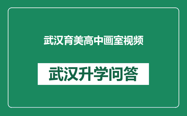 武汉育美高中画室视频