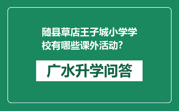 随县草店王子城小学学校有哪些课外活动？
