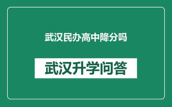 武汉民办高中降分吗