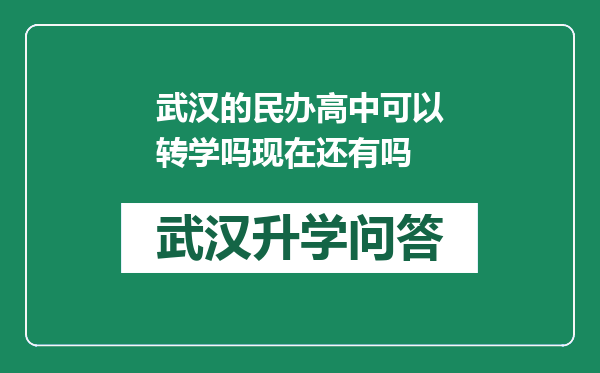 武汉的民办高中可以转学吗现在还有吗