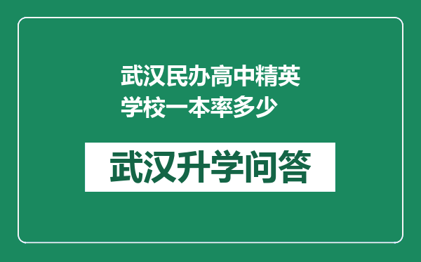 武汉民办高中精英学校一本率多少