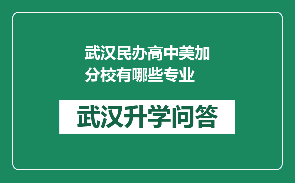 武汉民办高中美加分校有哪些专业