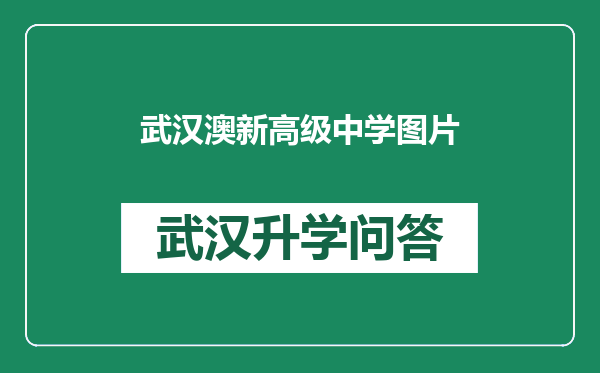 武汉澳新高级中学图片