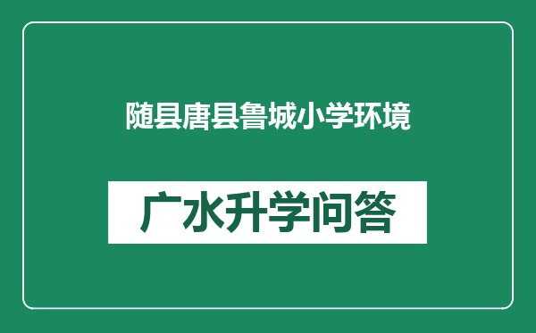 随县唐县鲁城小学环境