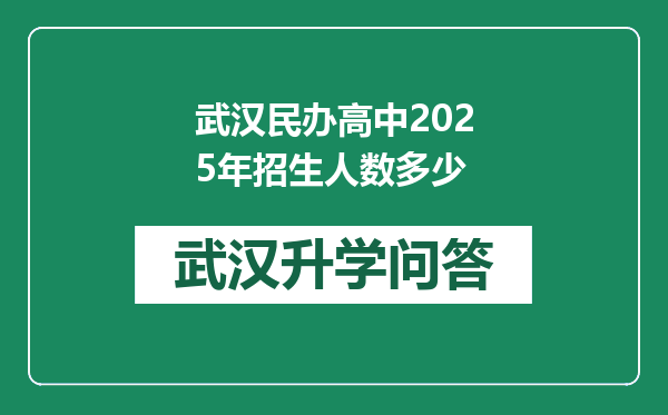 武汉民办高中2025年招生人数多少