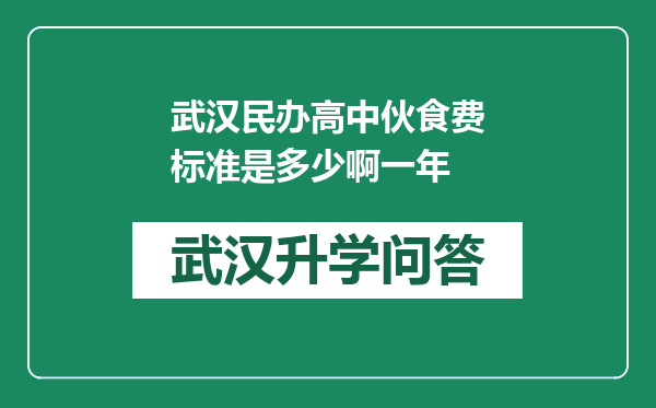 武汉民办高中伙食费标准是多少啊一年