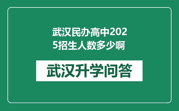 武汉民办高中2025招生人数多少啊