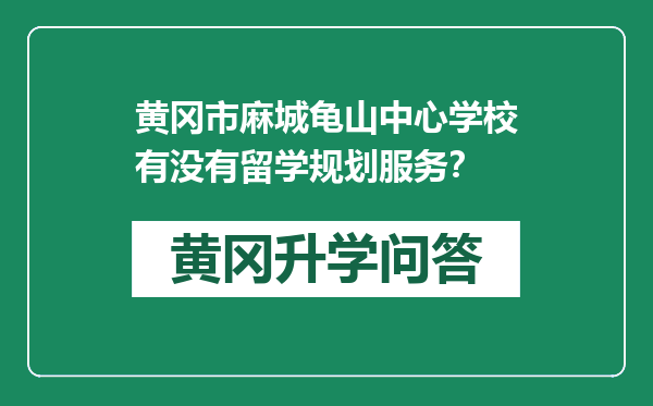 黄冈市麻城龟山中心学校有没有留学规划服务？