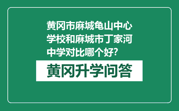 黄冈市麻城龟山中心学校和麻城市丁家河中学对比哪个好？