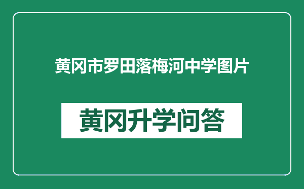 黄冈市罗田落梅河中学图片