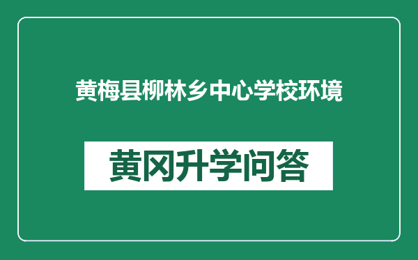 黄梅县柳林乡中心学校环境