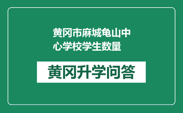 黄冈市麻城龟山中心学校学生数量