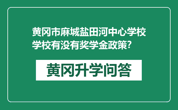 黄冈市麻城盐田河中心学校学校有没有奖学金政策？