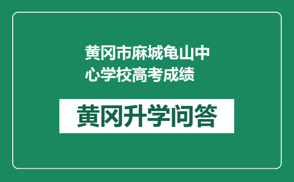 黄冈市麻城龟山中心学校高考成绩