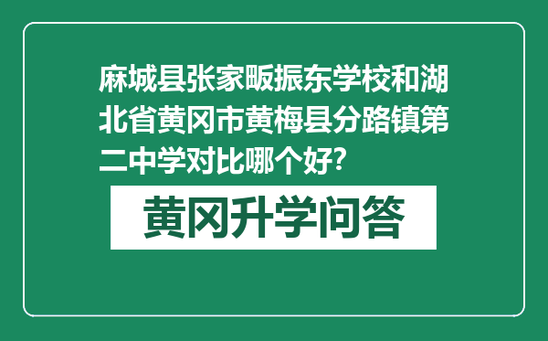 麻城县张家畈振东学校和湖北省黄冈市黄梅县分路镇第二中学对比哪个好？